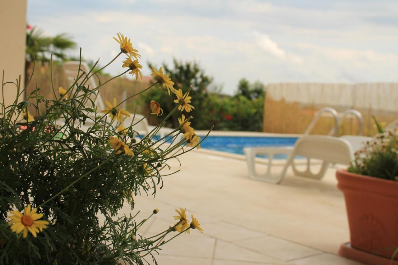 Apartman Robi Nova Vas  Buitenkant foto